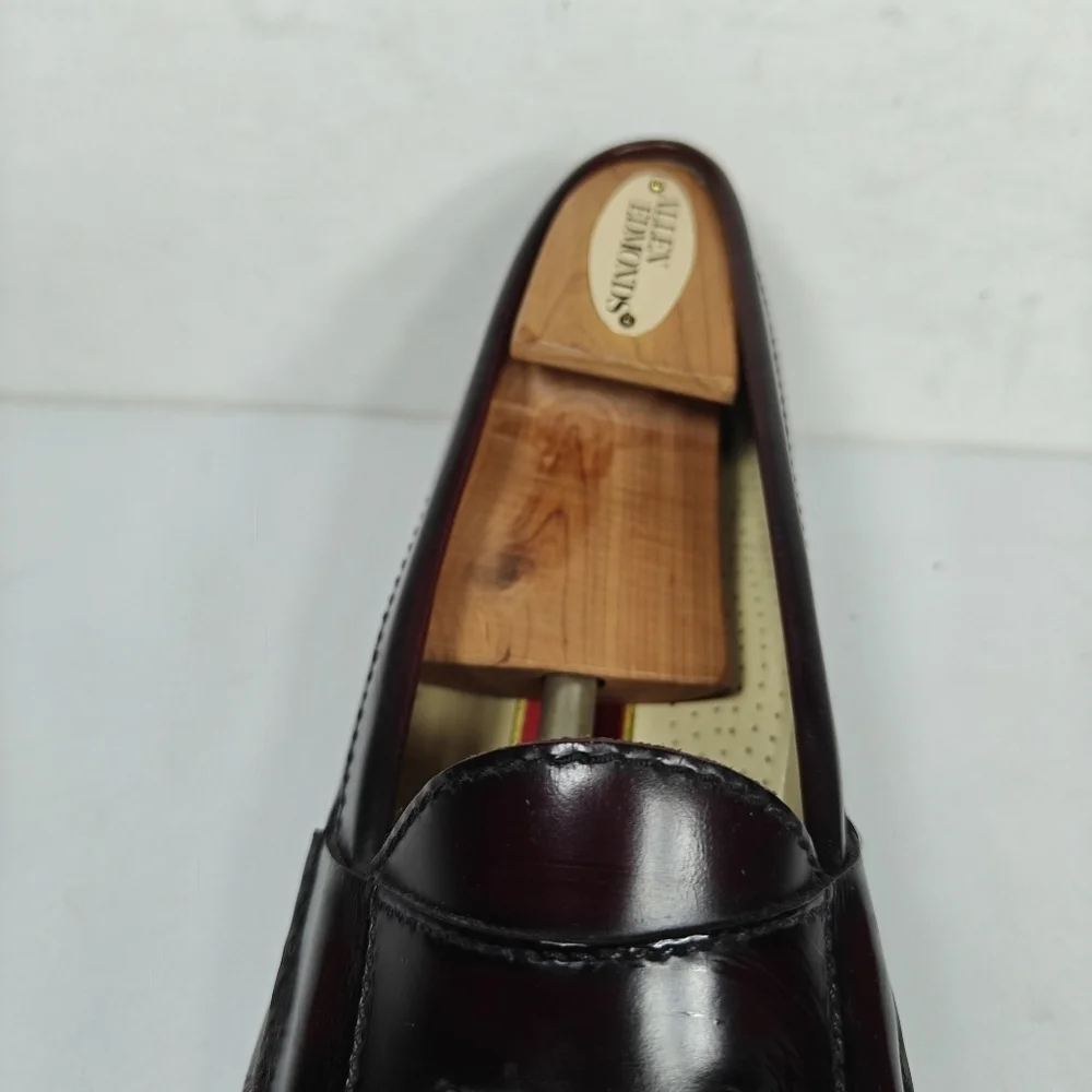 Cole Haan Men's Tassel Cordovan Burgundy Leather Loafers Pinch  03507 Size 8.5 D